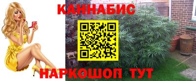 хмурый Обь