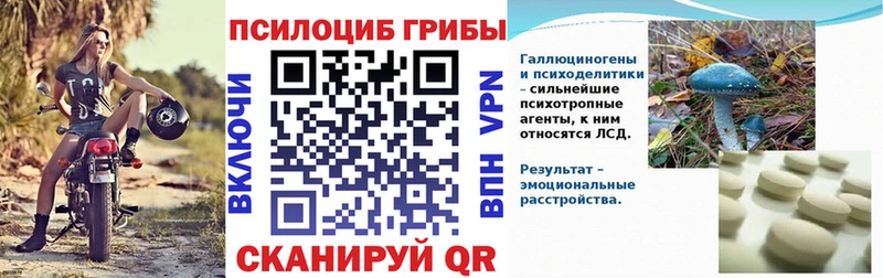 Галлюциногенные грибы мухоморы  Шали 