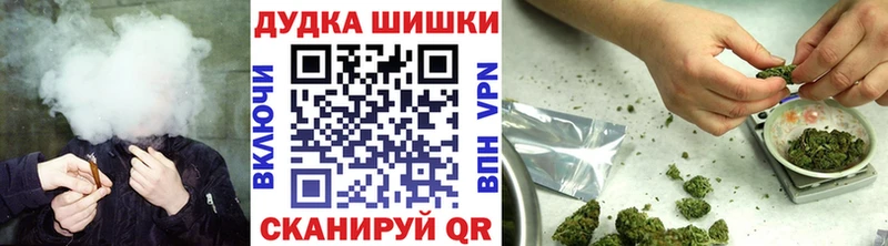 Канабис план  Шали 